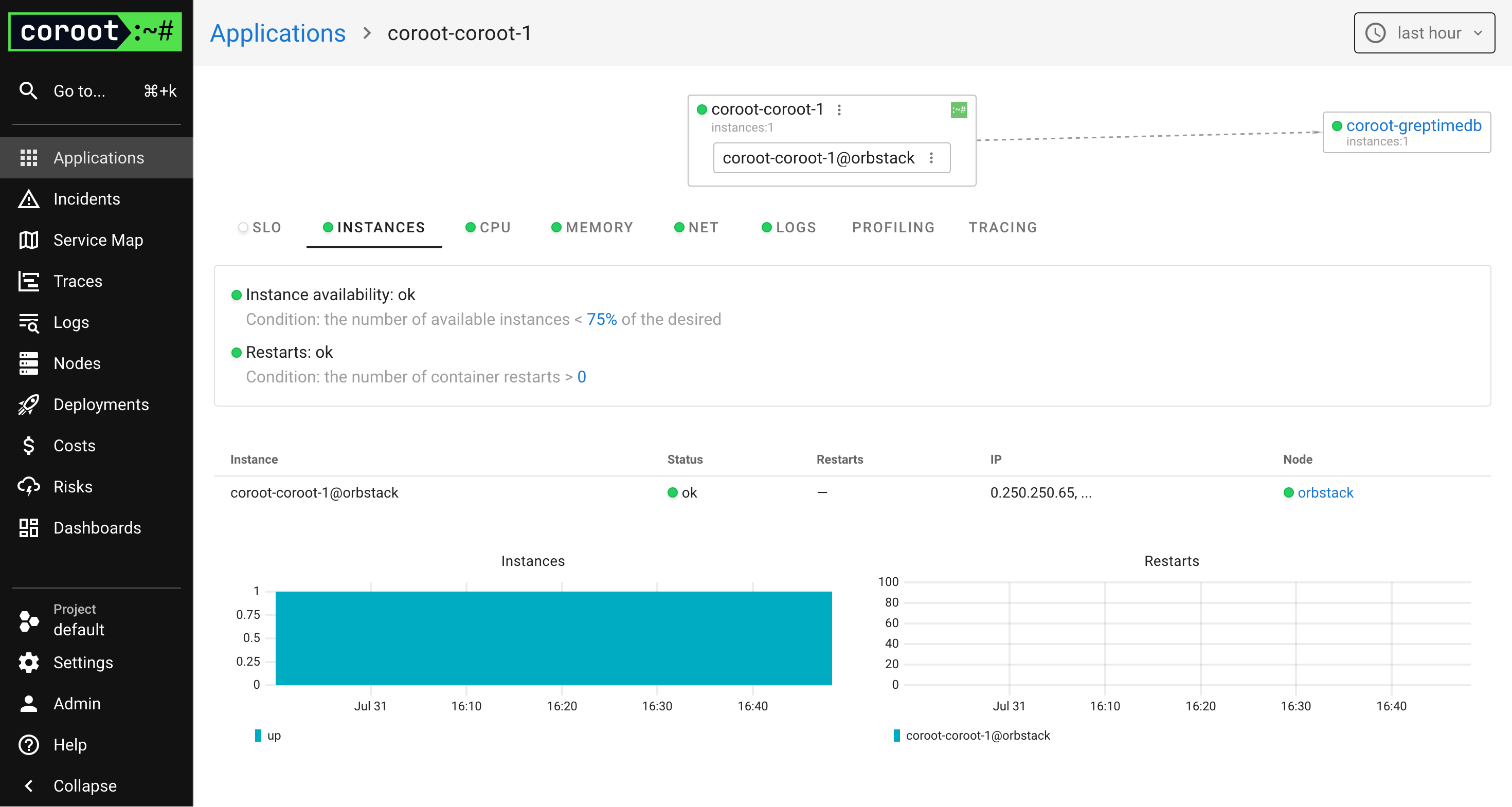 (Figure 1: Coroot Instance Page)