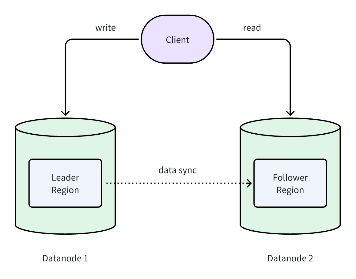 （Figure 1: Leader and Follower Regions deployed on different Datanodes）